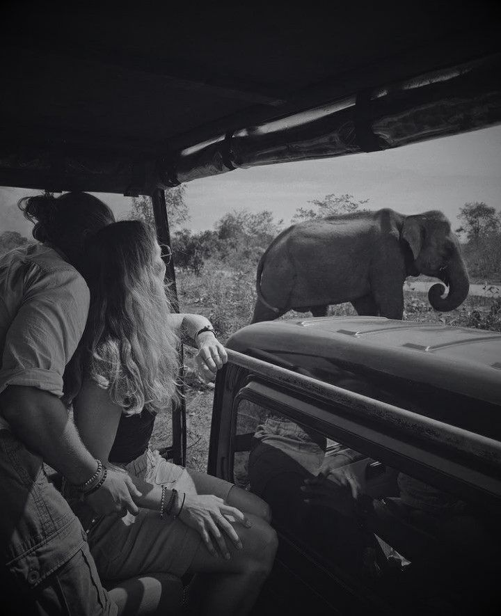 Pareja en un safari frente a un elefante, en blanco y negro
